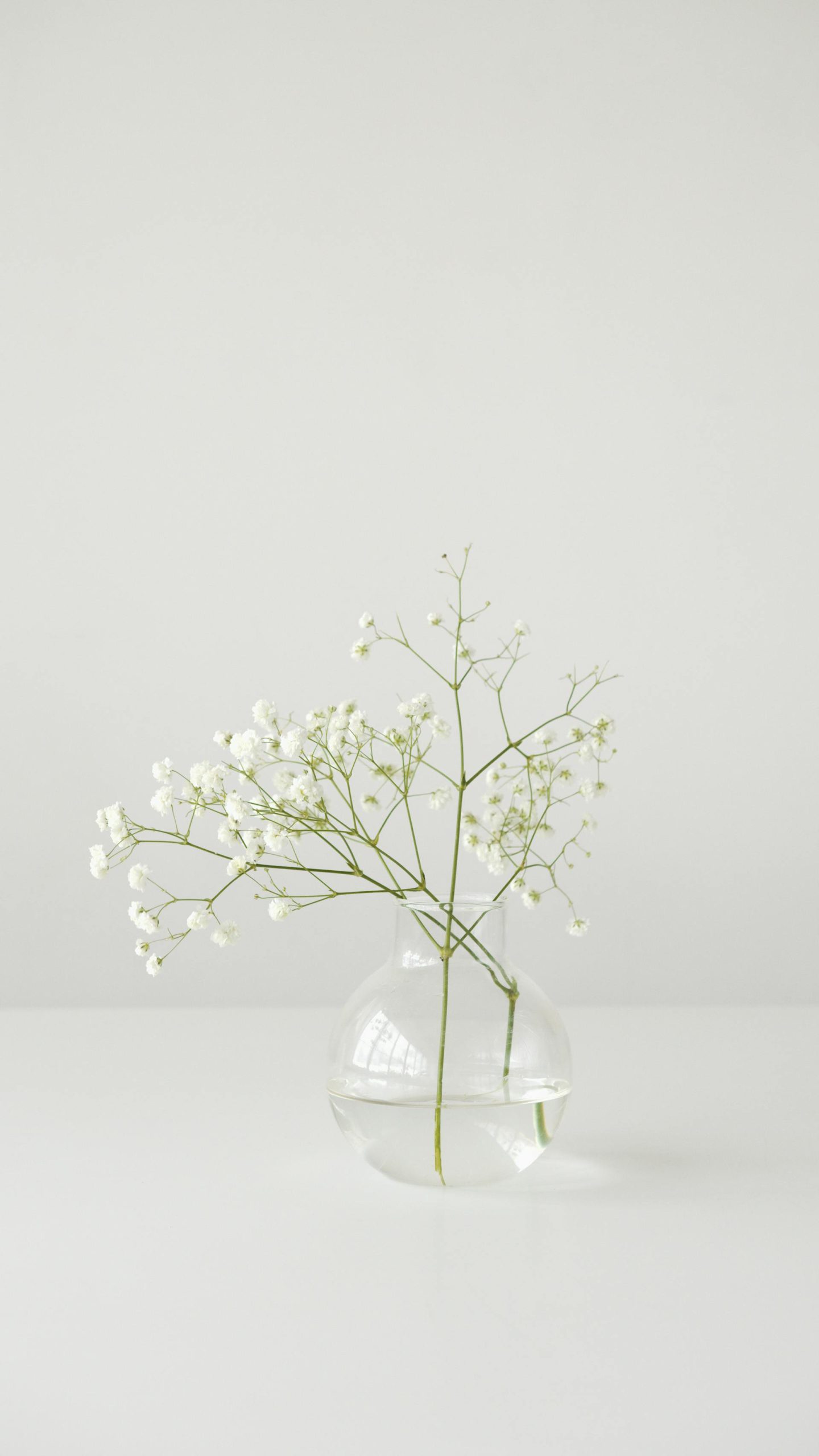 gypso3_vase